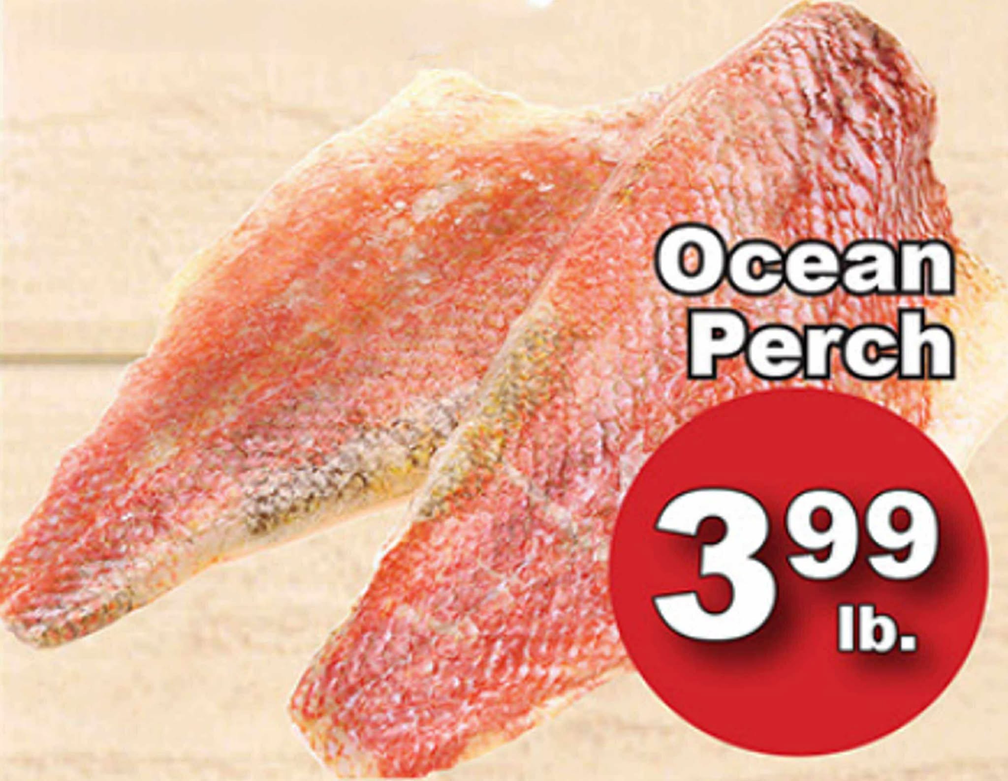 567272226 1152572293125925 6527301278826564303 n