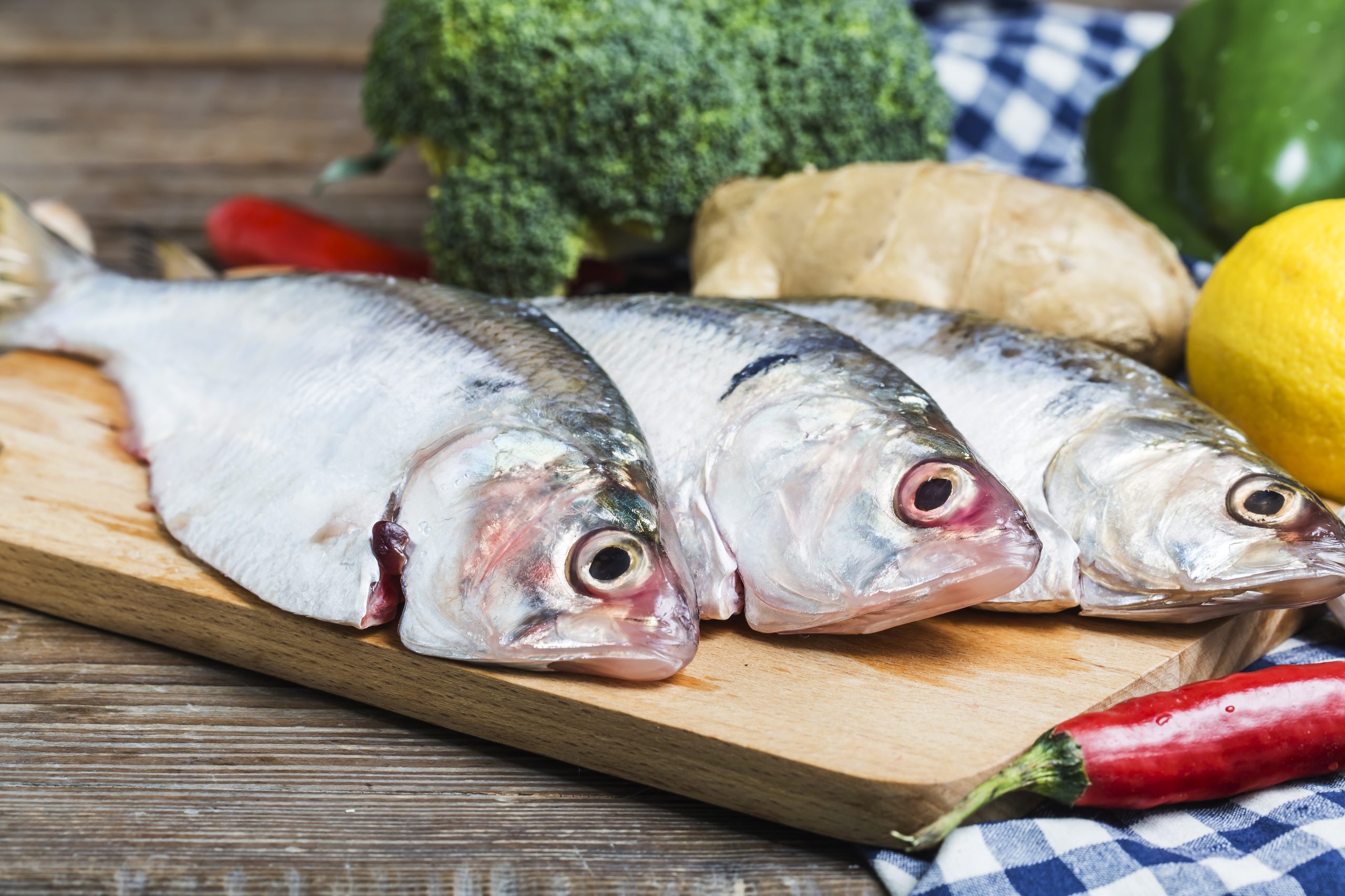 ilish fish of southeast asia