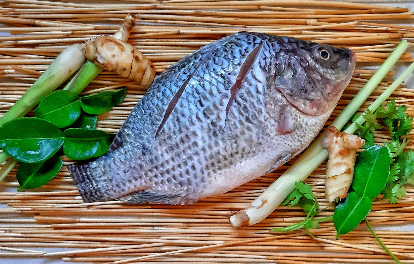 Seafood Department tilapia 5108235 1920 1360x868