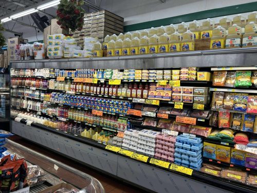 573806346 704096028884746 4630265647630887561 n